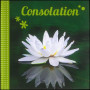 Consolation - Mini livre – Evangile pour Tous