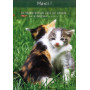 Carte simple Merci Chatons - Psaume 32(31).10