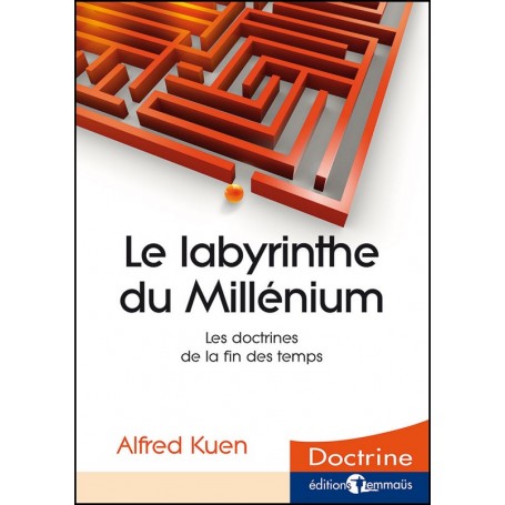 Le labyrinthe du Millenium - Alfred Kuen