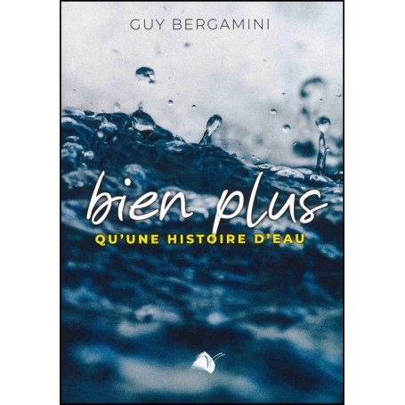 Bien plus qu'une histoire d'eau - Guy Bergamini