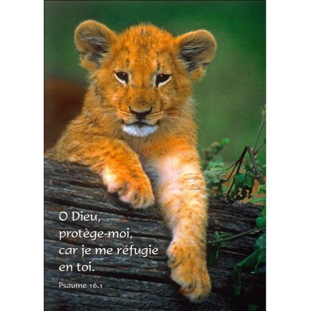Carte simple O Dieu, protège-moi - Ps 16.1