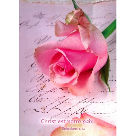 Carte simple Christ est notre paix - Eph 2.14