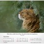 Calendrier Chats - EPT
