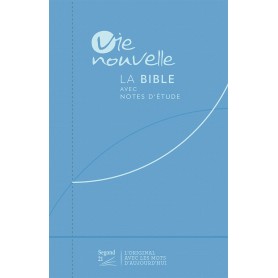 Bible Segond 21 Journal de bord: couverture rigide illustrée bleue