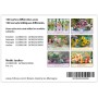 Boite de 100 mini cartes avec verset biblique - Jardins - CLCBMC040