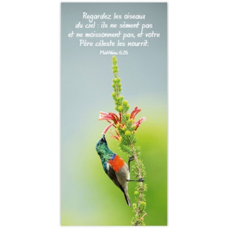 Marque-page magnet Regardez les oiseaux du ciel - Matthieu 6.26