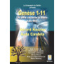 DVD Genèse 1-11
