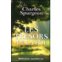 Les trésors de la foi – Charles Spurgeon – Editions Europresse